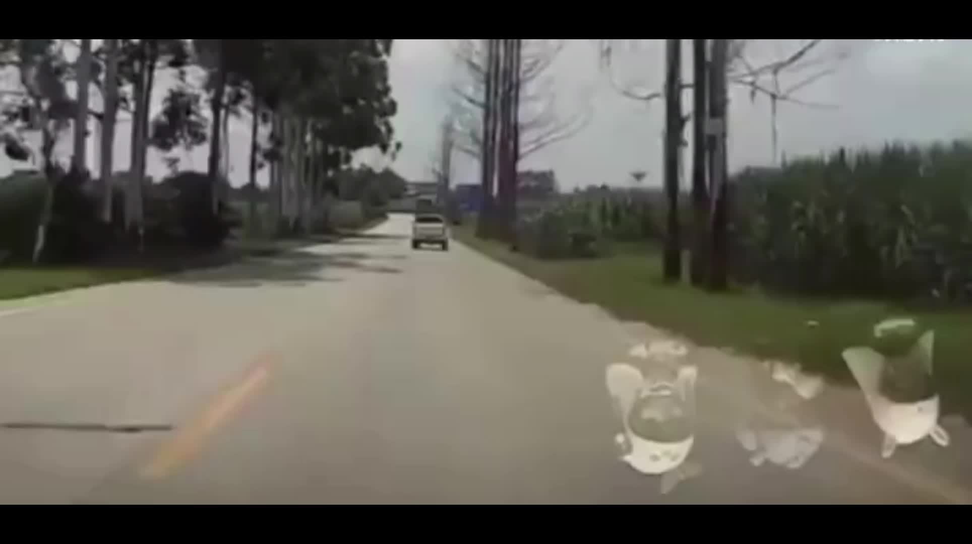 video-poster