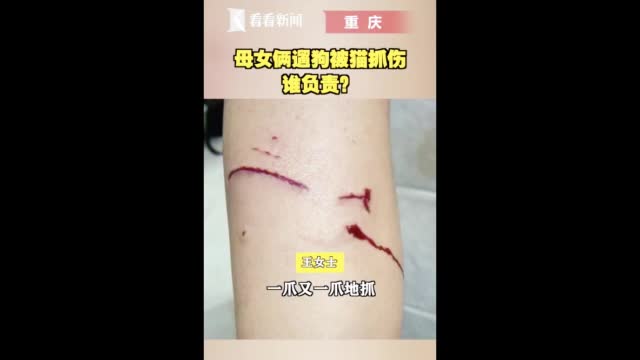 母女俩遛狗被猫抓伤猫主人主动赔偿听到费用后又改口