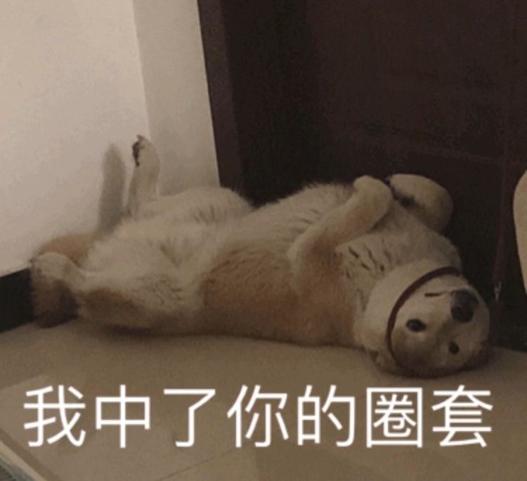放松一刻,来看看柴犬搞笑表情照片! zt