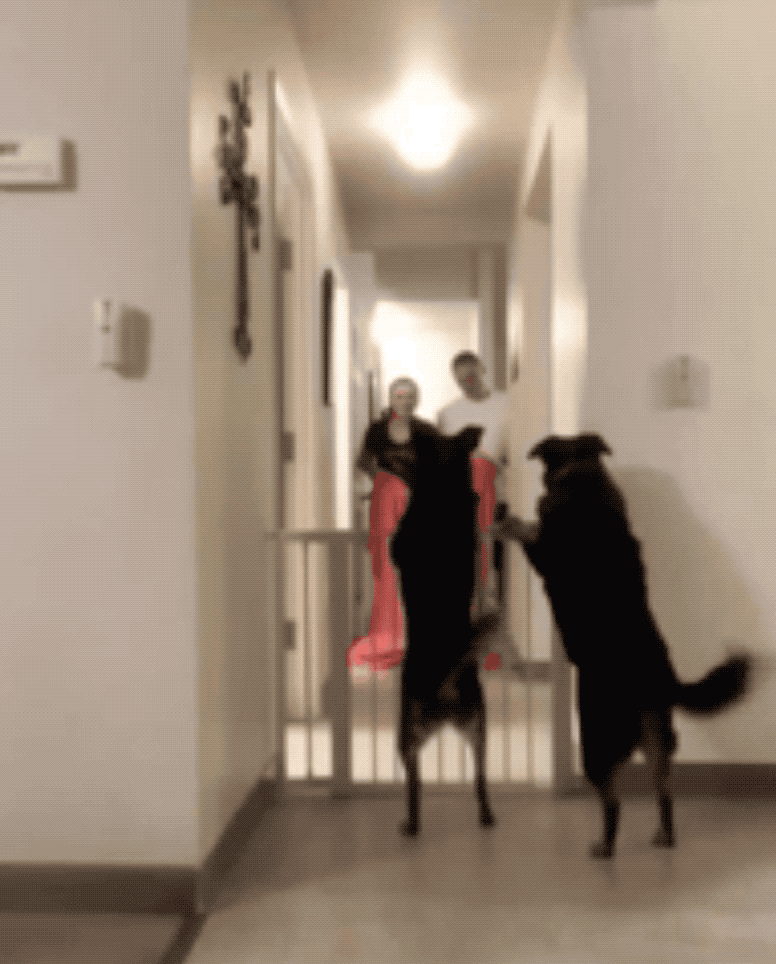 zt - 步行街主干道 - 虎扑社区