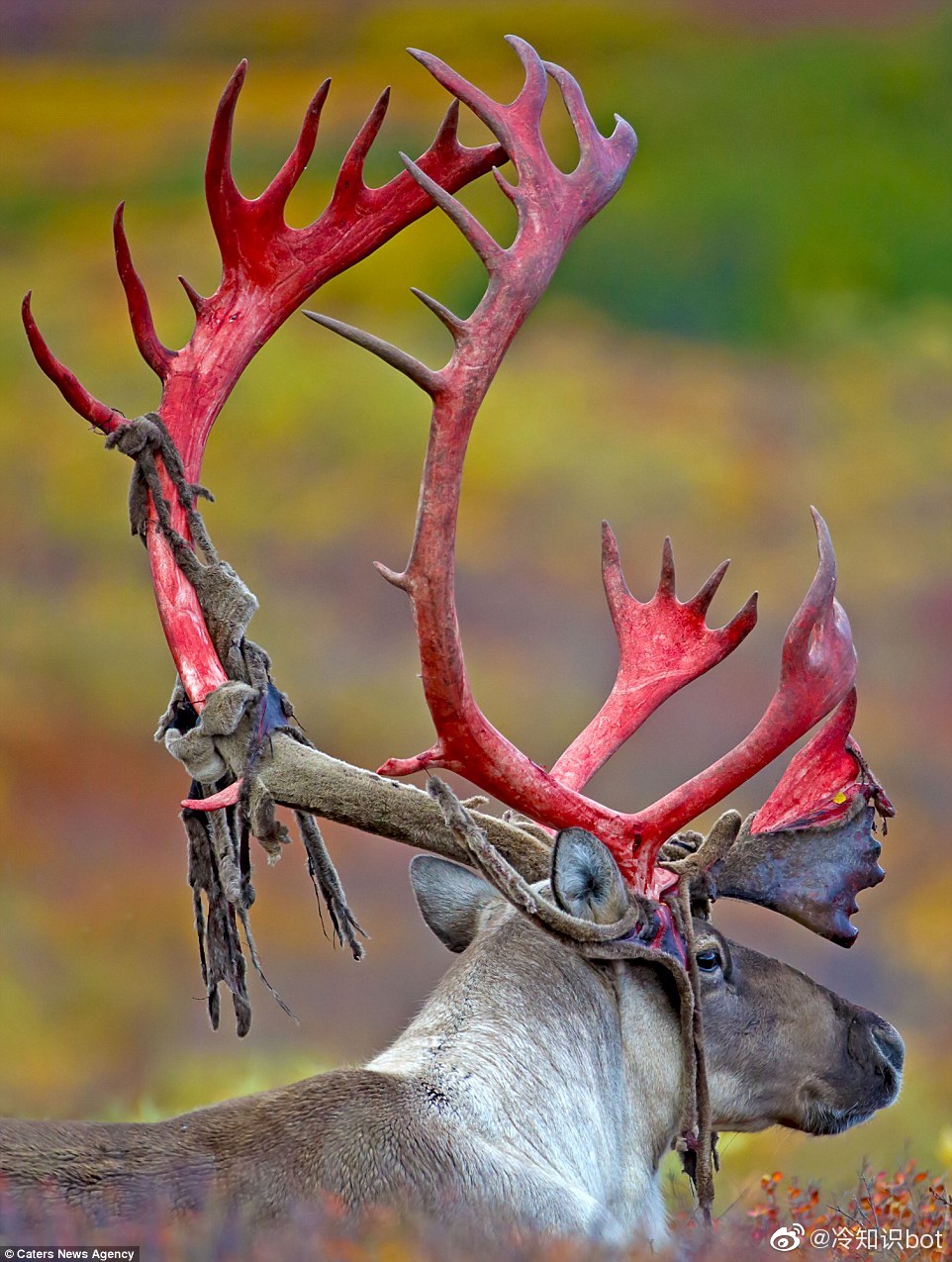 b6f171ea37c0b05597c9d34814313b