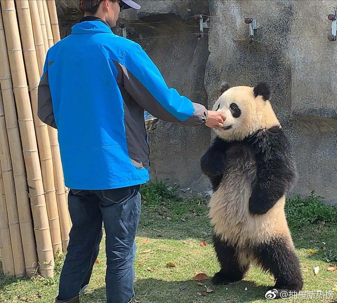 可把我牛逼坏了,让我叉会儿腰 zt
