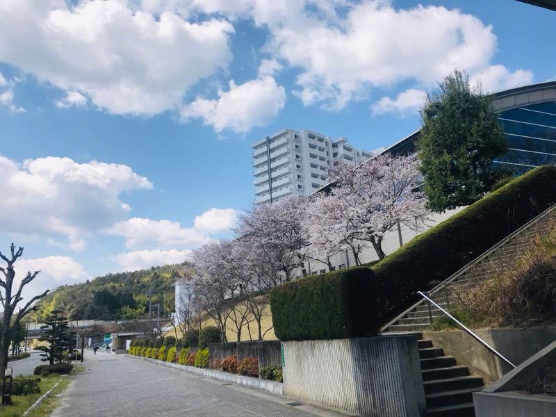 还有最后一张图放大了可以看到广岛大学哦.