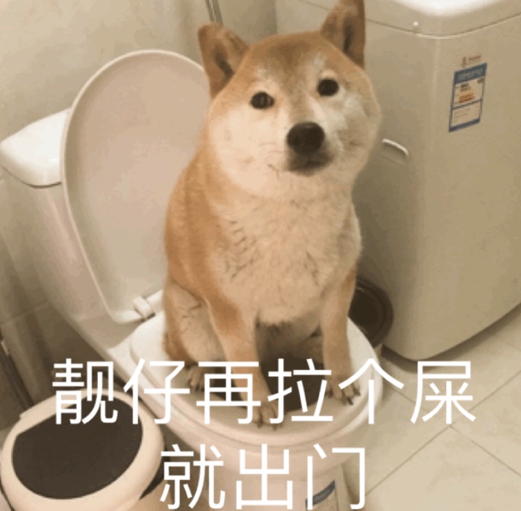 放松一刻,来看看柴犬搞笑表情照片! zt