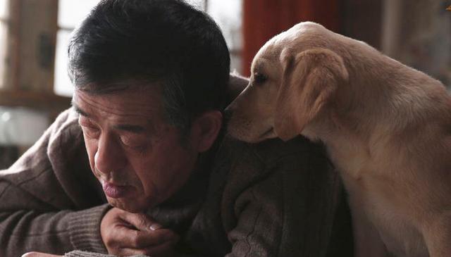 《忠爱无言》:比忠犬八公都感人的国产电影,看完忍不住的飙泪!