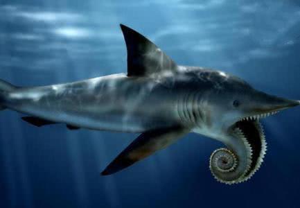 五种史前长相怪异的动物,下嘴唇像卷尺一样的鲨鱼,你见过吗? zt