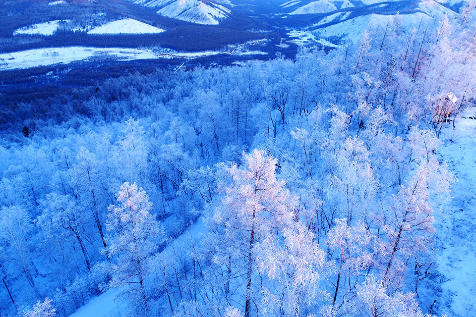 大兴安岭冬季雪色山林
