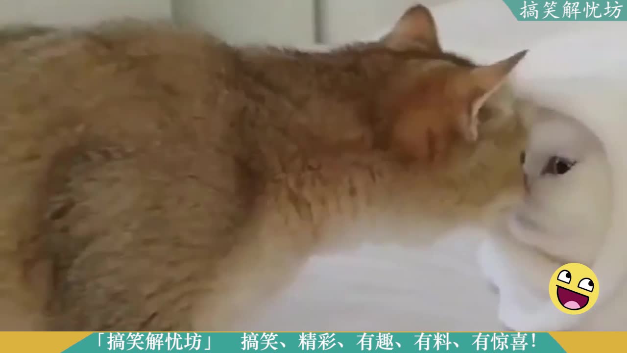 video-poster