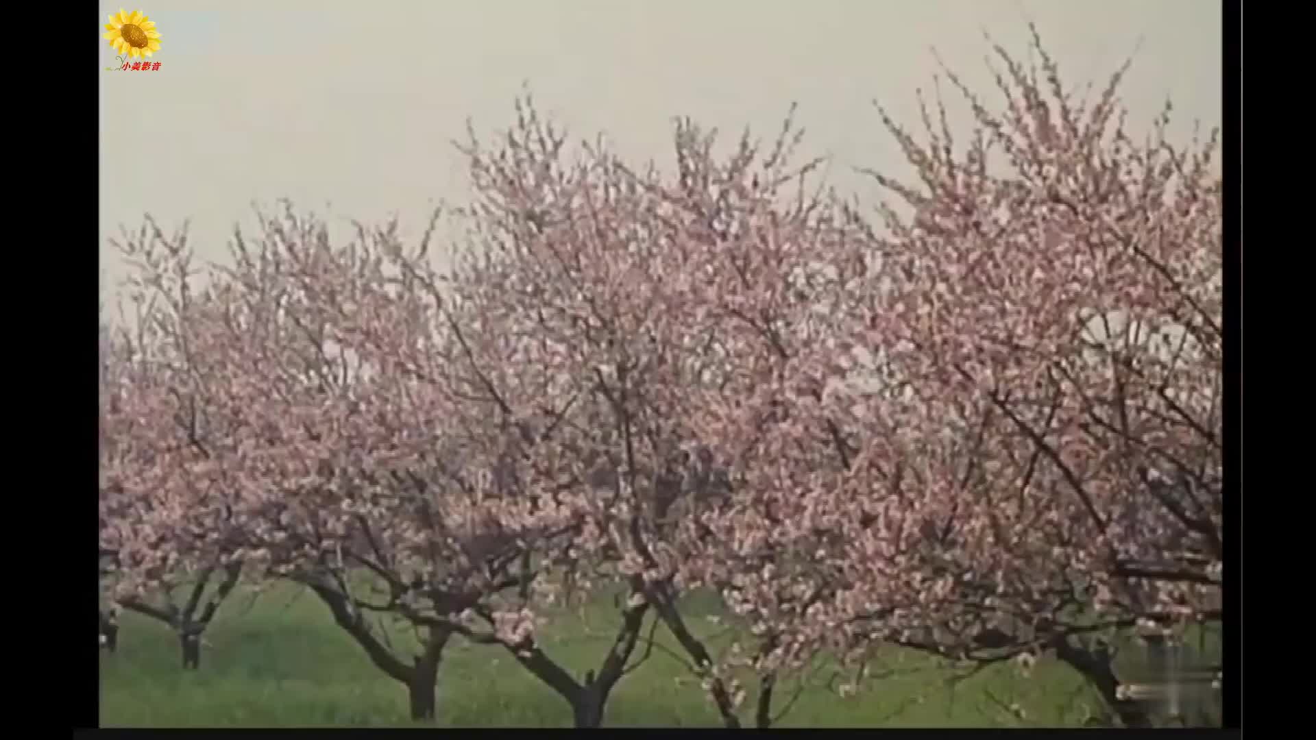 video-poster
