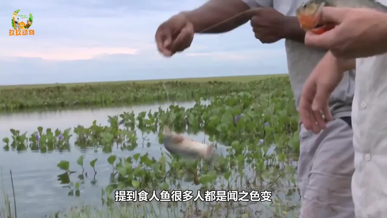 video-poster