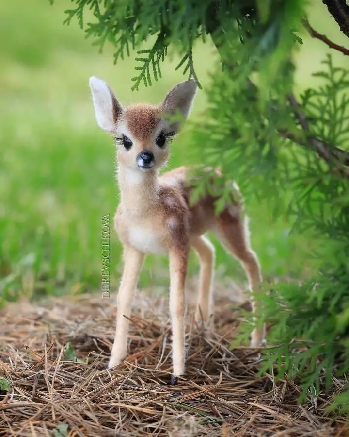 小鹿居然也这么萌，什么水平？ zt