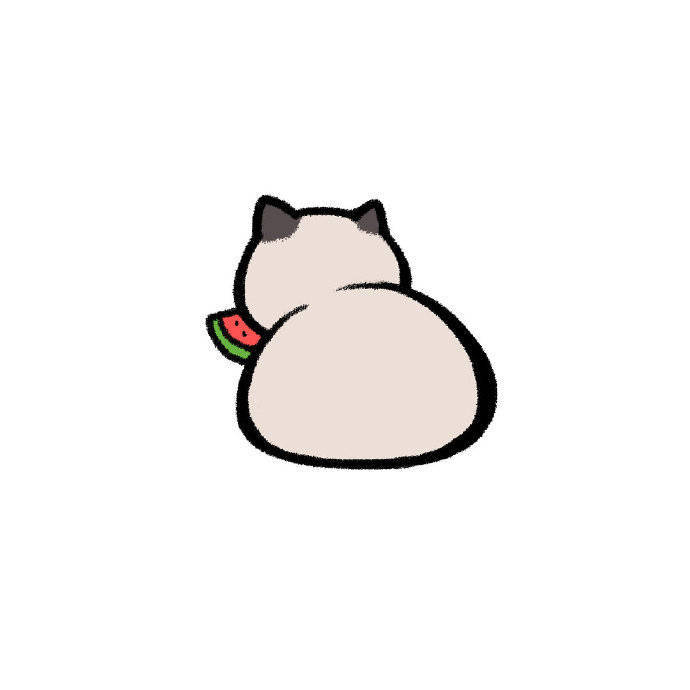 小猫吃瓜背影头像,新头像换起来 zt