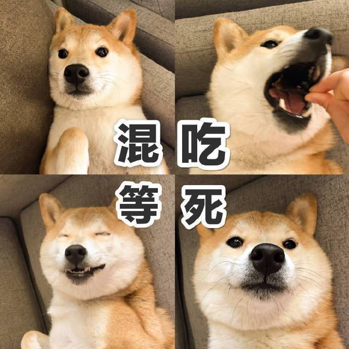 分享表情包,喜欢的拿走_虎扑