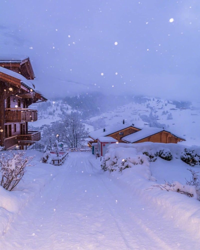 这雪夜景色怎么样 虎扑