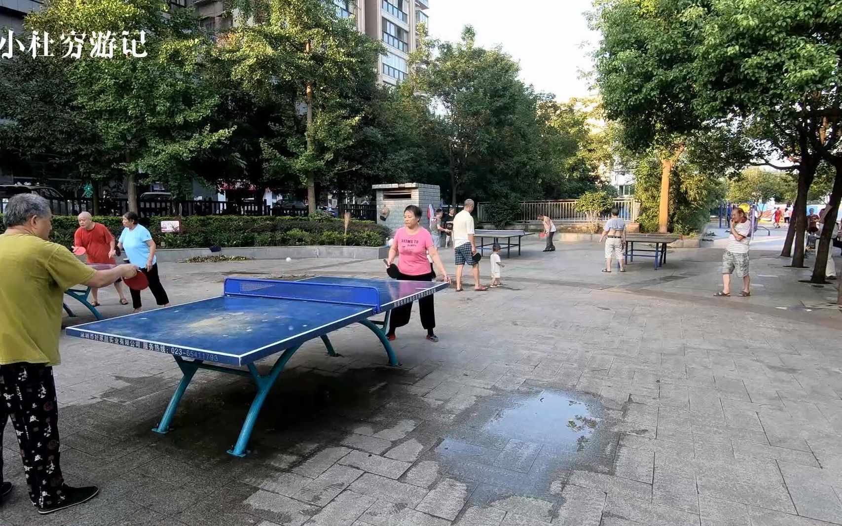 看见小区的大爷大妈终于知道为啥中国乒乓球万年第一太强了zt