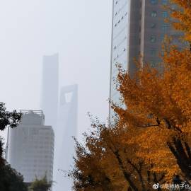 上海雾霾今中午去吃饭的时候拍的 虎扑