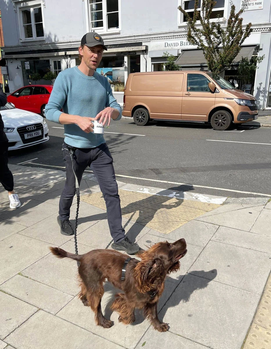 希德勒斯顿在伦敦街头遛狗手里拿着咖啡杯杯上印着艾比路abbeyroad