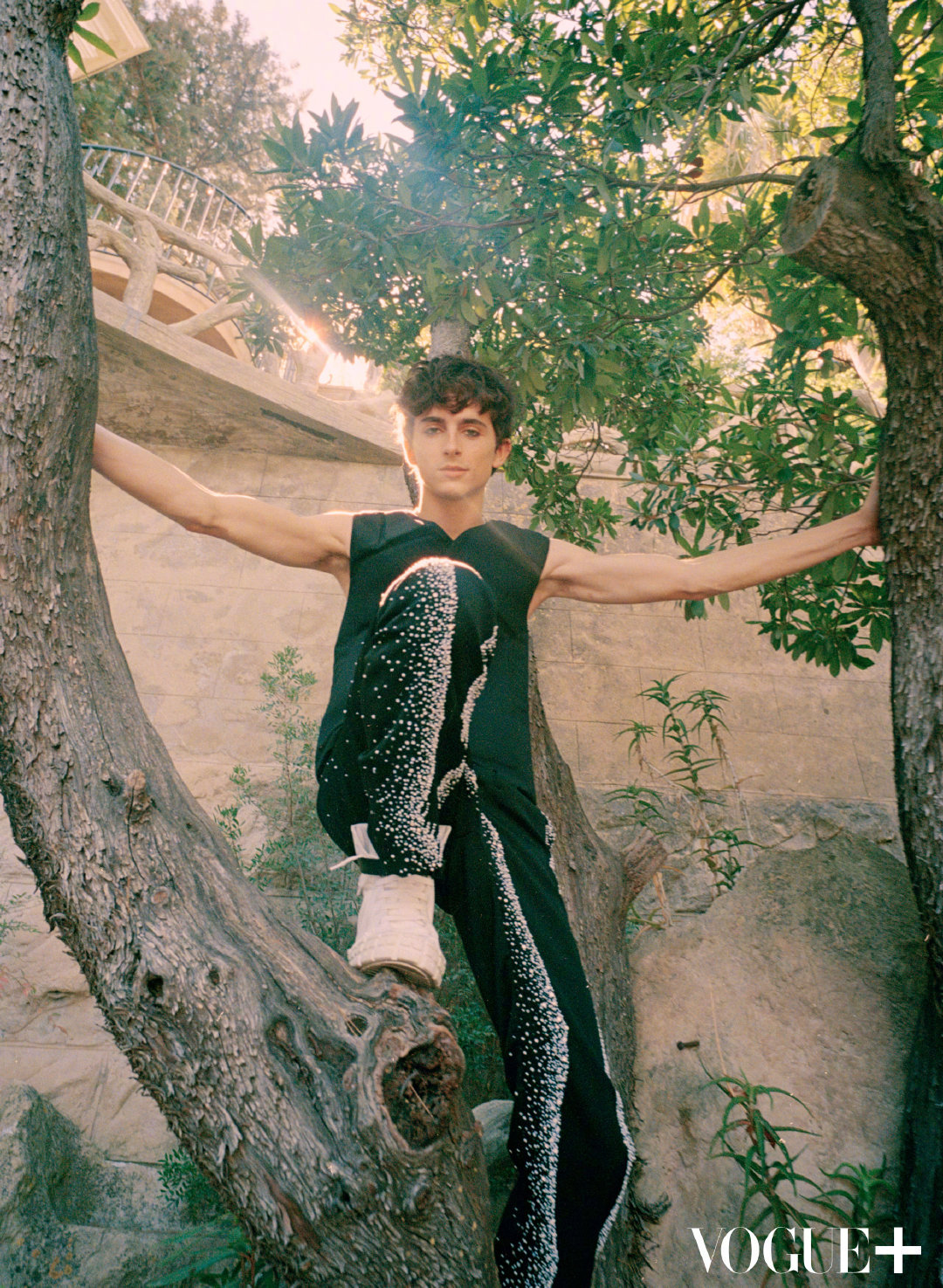 甜茶宝石海星同款发型蒂莫西柴勒梅德图片出自vogue2021年10月刊