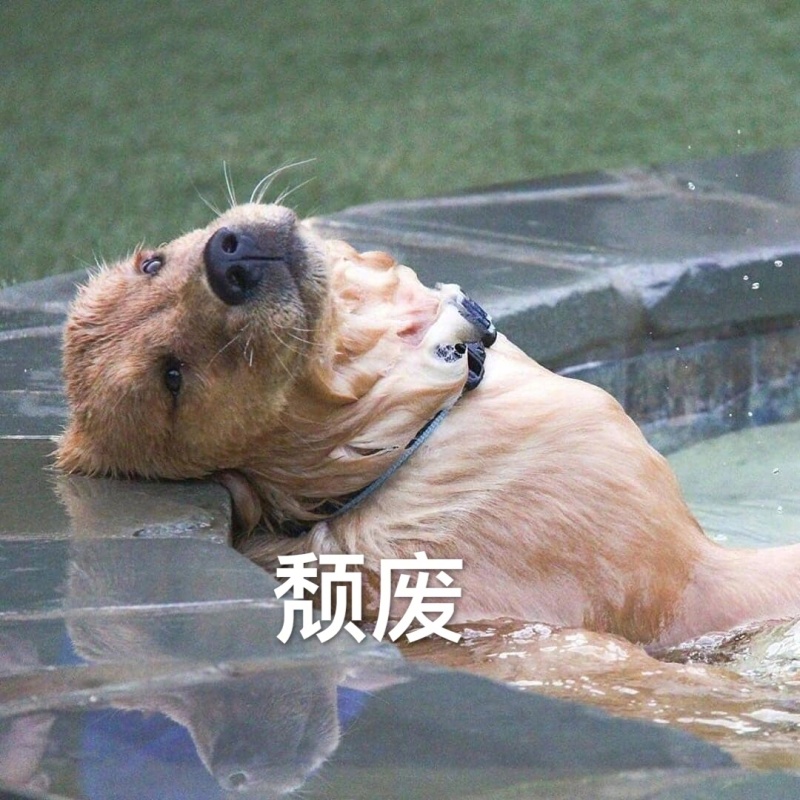 动物界颓废表情包