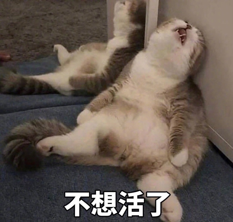 动物界颓废表情包