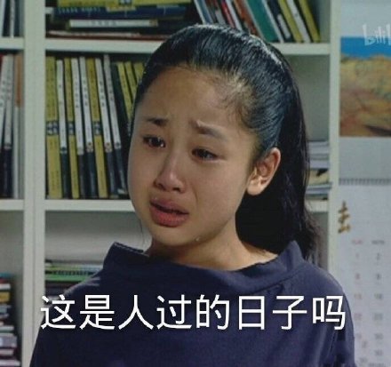 埋头干还是再等等?