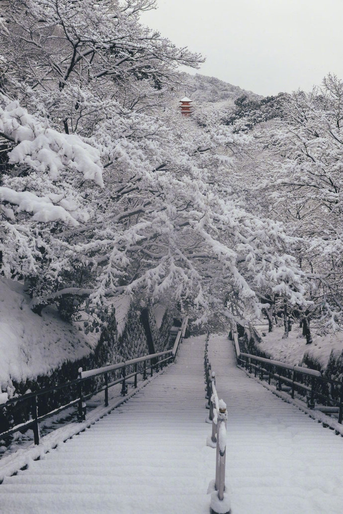 京都的雪,大家觉得看上去漂亮吗