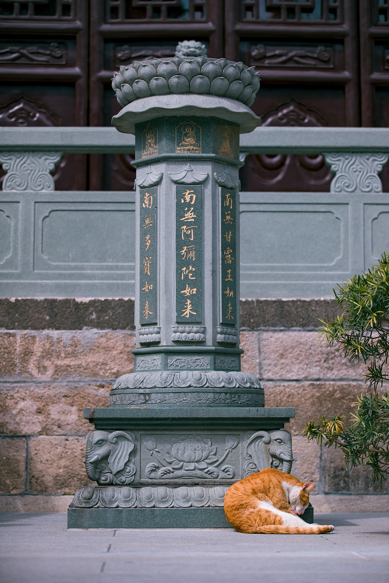 上海玉佛寺照壁图片