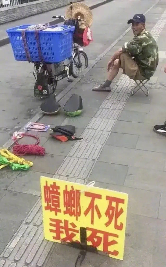 社区 步行街主干道   @ 搞笑百科 蟑螂:大爷你太狠了吧.