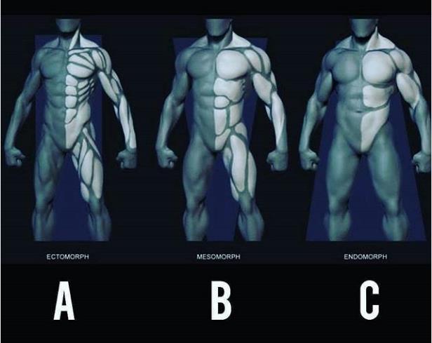 肌肉男的三种体型,你喜欢哪个? zt