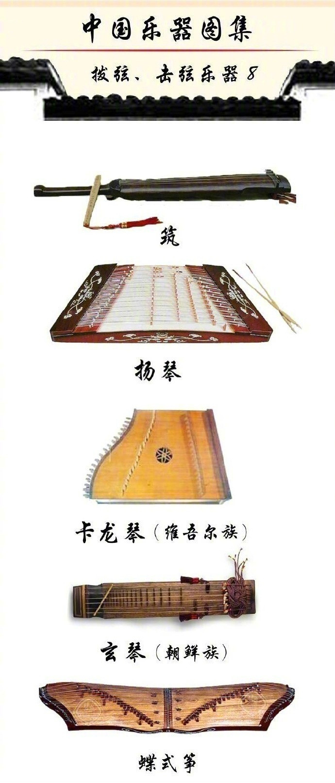 中国乐器图鉴! zt