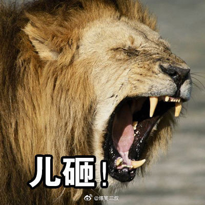 这组表情包你想艾特谁? zt_虎扑