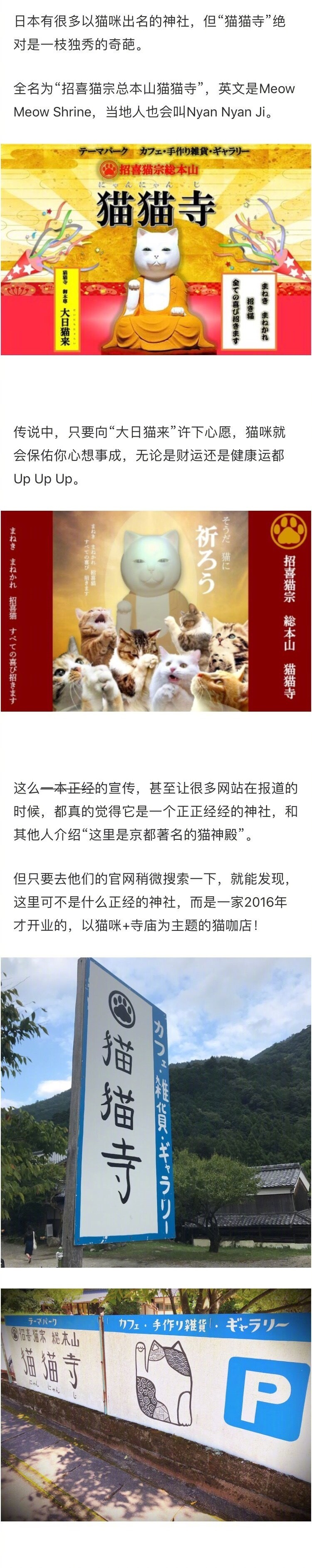 日本京都的这家猫猫寺 从住持到和尚都是猫咪zt 虎扑 日本京都的这家猫猫寺 从住持到和尚都是猫咪zt 虎扑