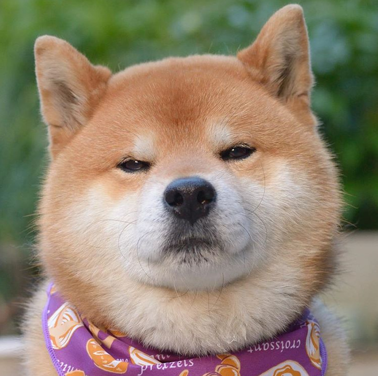 正经傲娇嘲讽脸哼休想让我回家zt