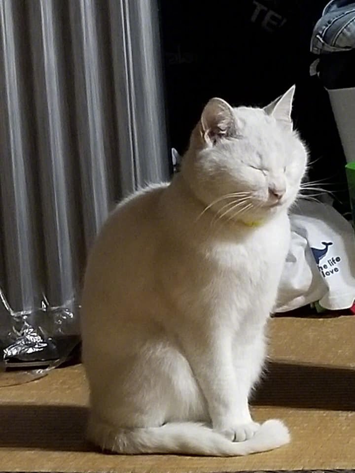 站着也能睡着zt