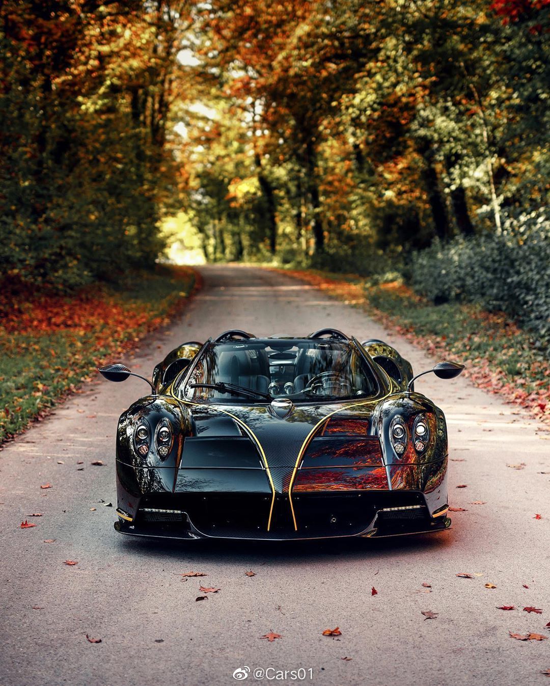 行走的艺术品帕加尼huayra风神cars这波什么水平