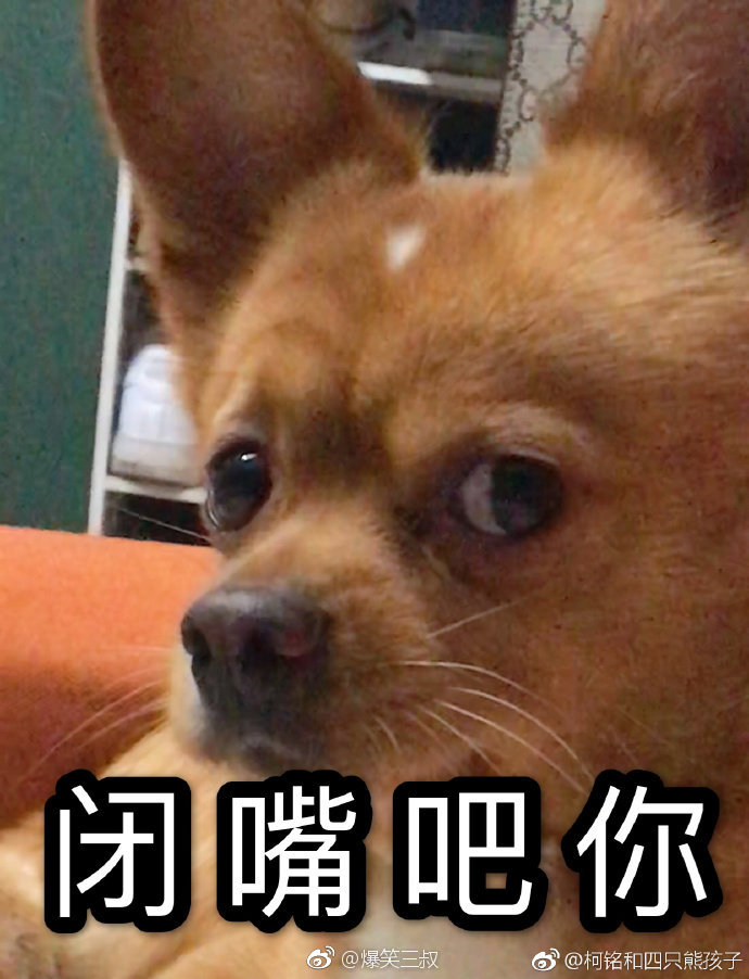 一组你哈尼的表情包,请立刻转载保存 zt