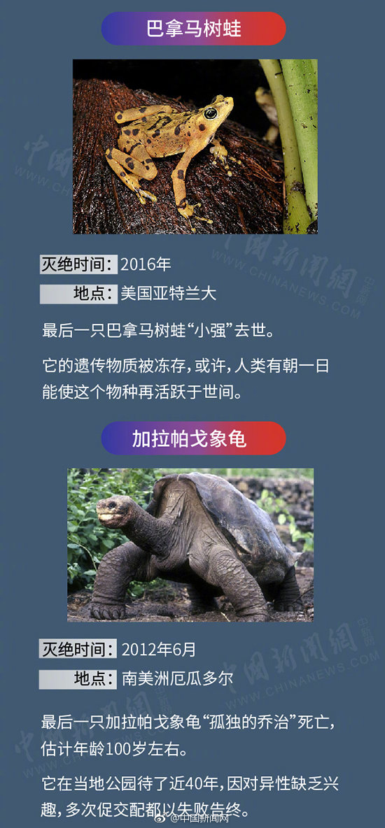 人类,你有一份灭绝动物图鉴待查收 zt