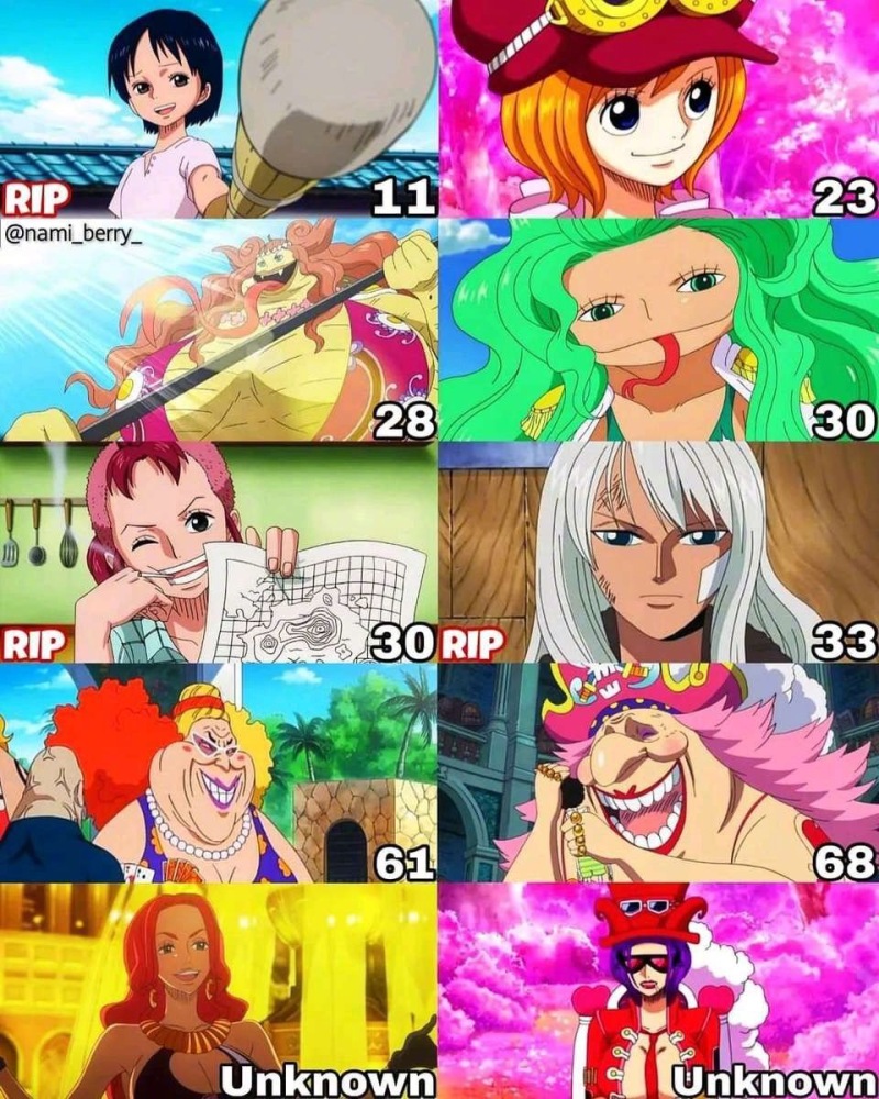 《海贼王》所有女角色年龄一览,你们家女神几岁 zt