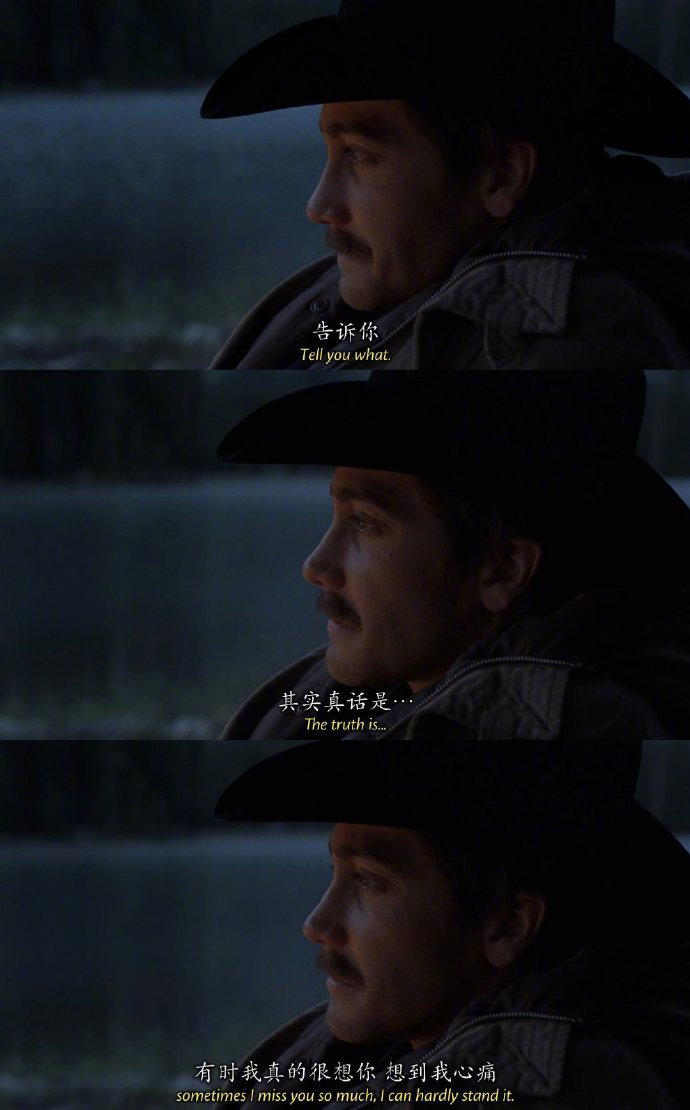 《断背山》你给几分? zt