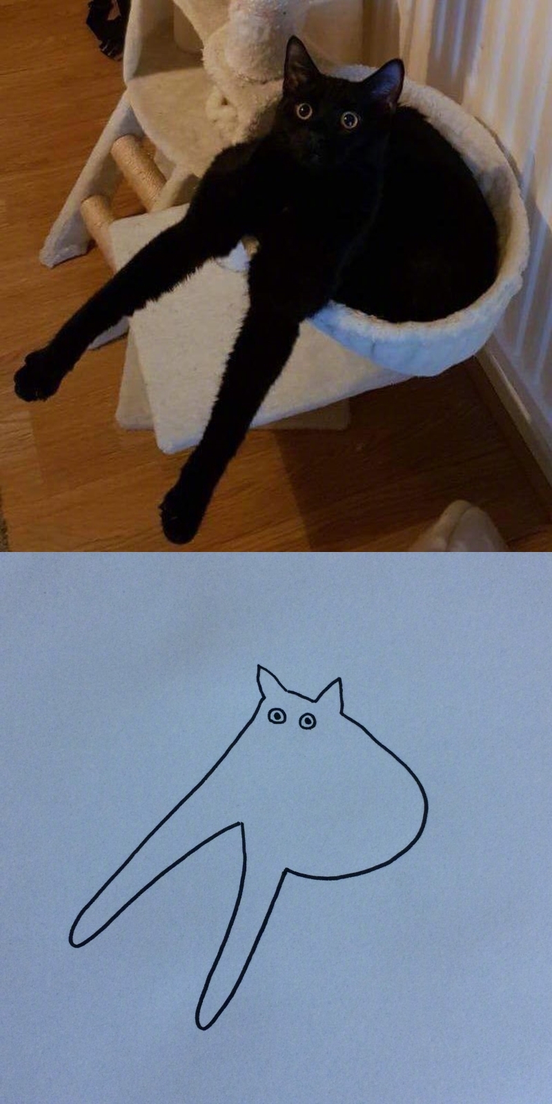 灵魂画手笔下的猫咪zt