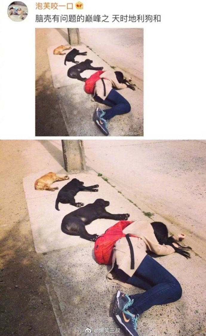 这些拍照姿势真的搞笑 zt