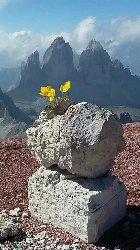 生命之美,这波景色什么水平 zt