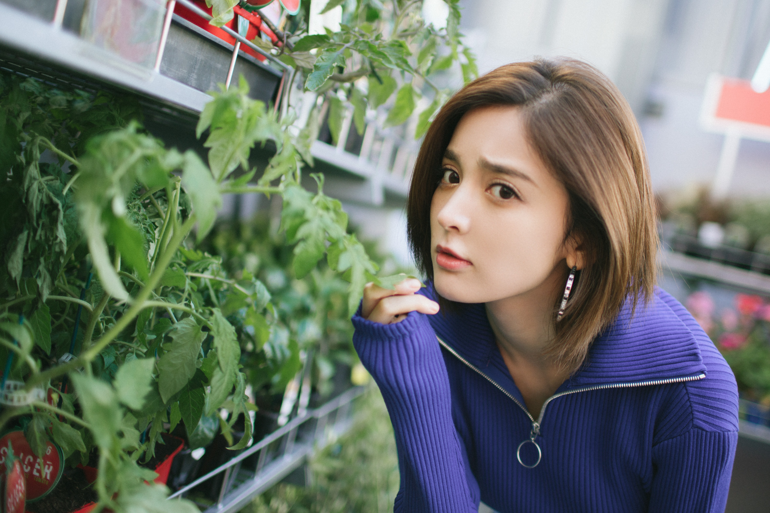 古力娜扎一组花房内的写真什么水平zt