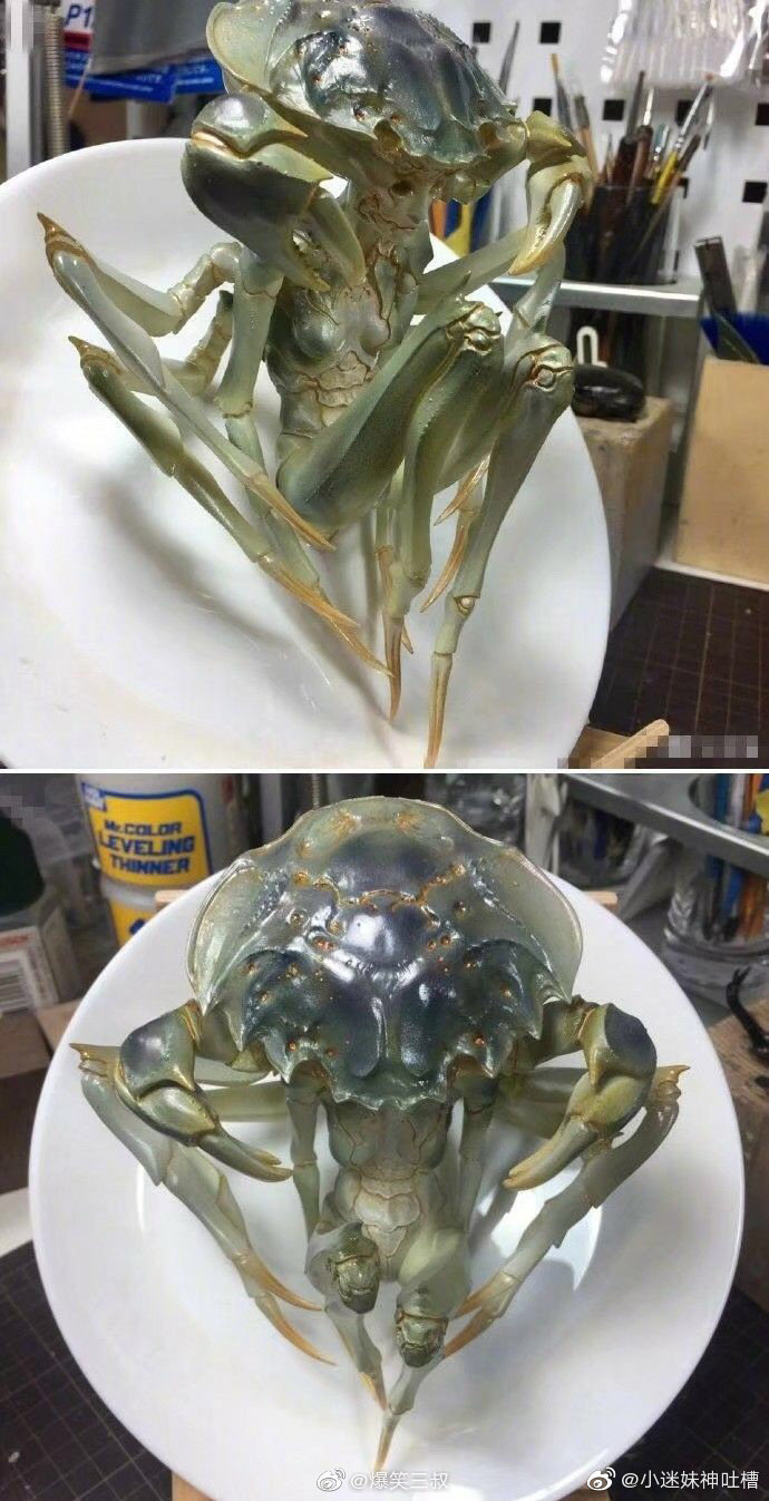 北方的螃蟹是这样的吗? zt