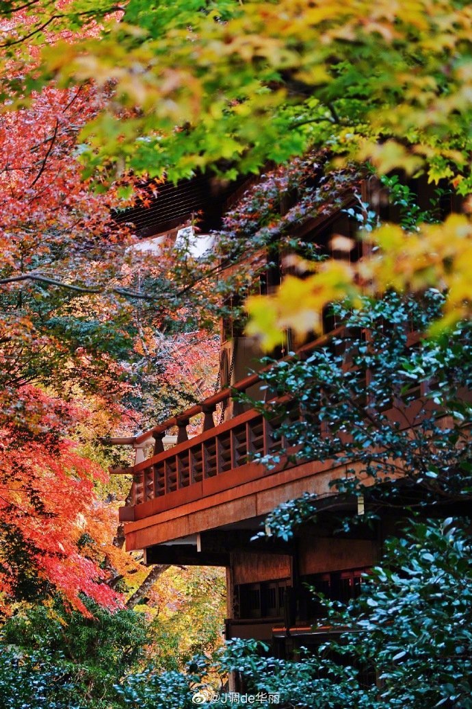 京都旅行三千院 红叶季京都最可爱的小地藏寺院zt 虎扑