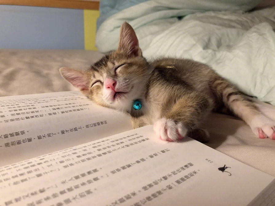看书打瞌睡图片图片