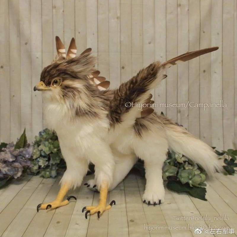 萌宠物爱宝宝:幼体狮鹫,有点霸气!