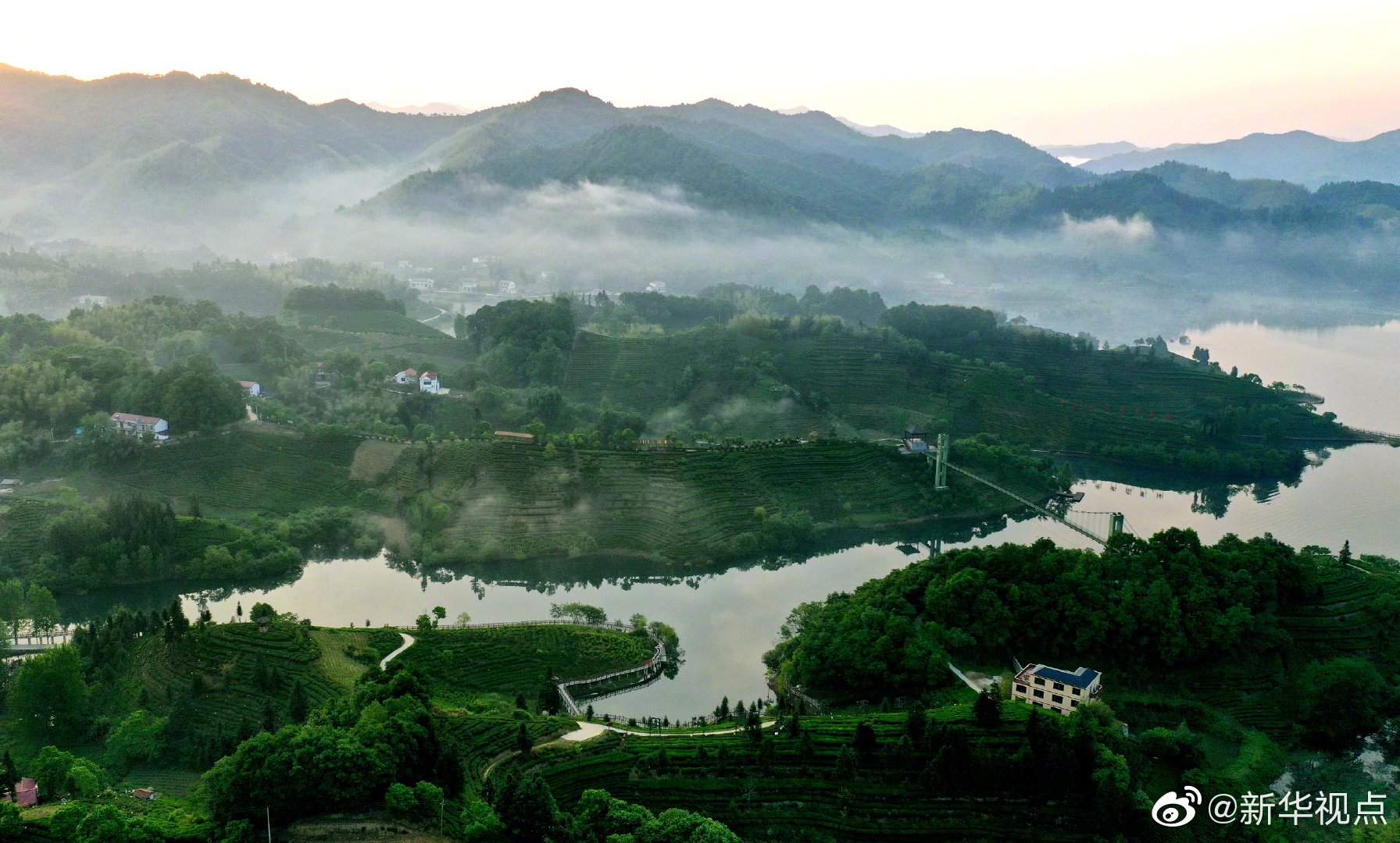 大别山茶叶谷网图片