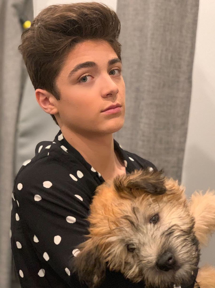 新增两名帅哥试镜迪士尼真人版《小美人鱼》的eric王子一角 zt