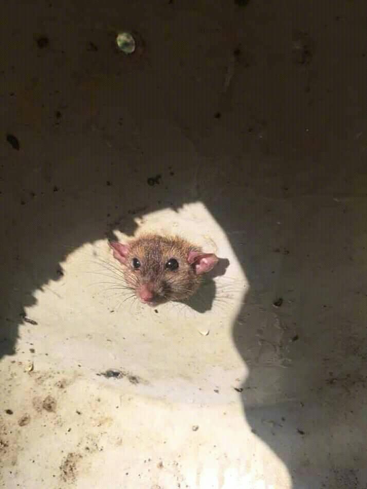 老弟,要帮忙吗? zt